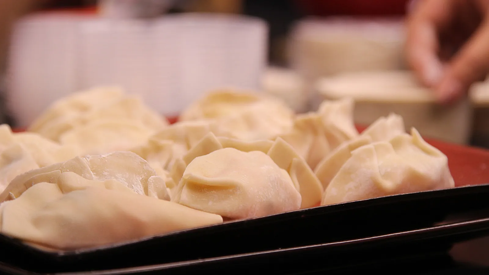 Chinese Dumplings to celebrate the new year
